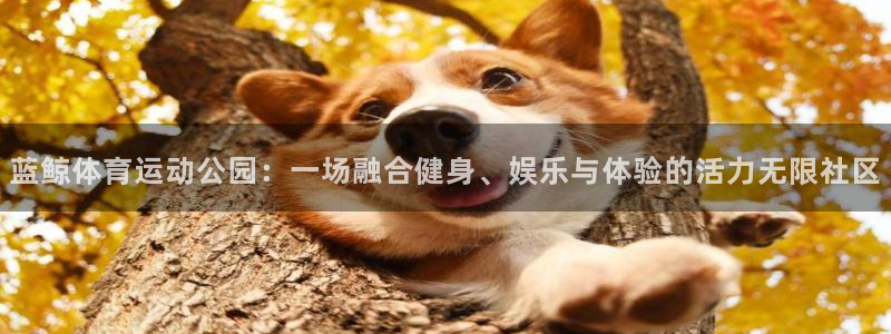 哈哈体育十年：蓝鲸体育运动公园：一场融合健身、娱乐与体验的活力无限社区