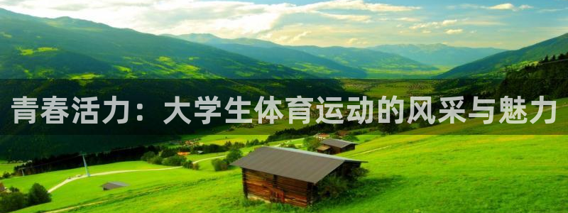 哈哈体育十年：青春活力：大学生体育运动的风采与魅力