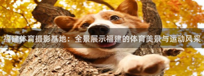 哈哈体育下载：福建体育摄影基地：全景展示福建的体育美景与运动风采
