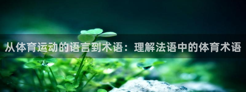 哈哈体育十年：从体育运动的语言到术语：理解法语中的体育术语