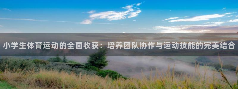 哈哈体育下载：小学生体育运动的全面收获：培养团队协作与运动技能的完美结合
