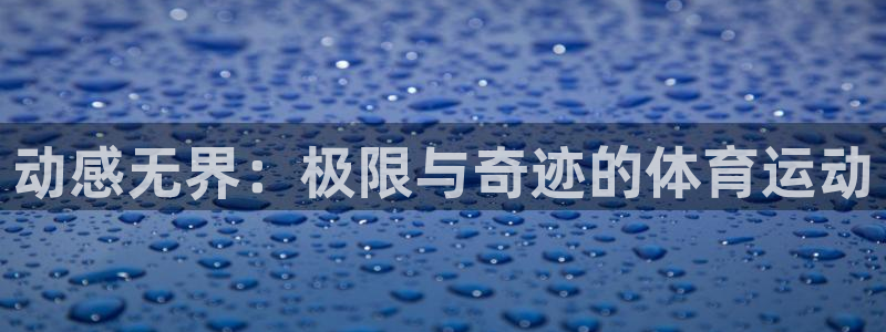 哈哈体育十年：动感无界：极限与奇迹的体育运动