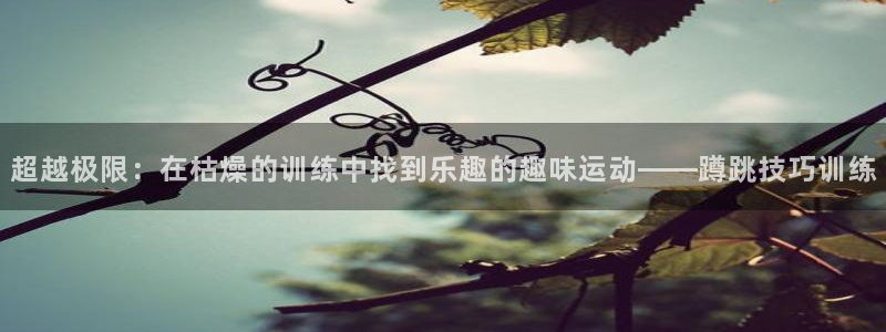 哈哈体育：超越极限：在枯燥的训练中找到乐趣的趣味运动——蹲跳技巧训练